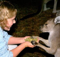 Discovery Bay's Walk on the Wild Side - Accommodation Batemans Bay