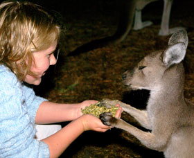 Discovery Bay's Walk On The Wild Side - Accommodation Batemans Bay 0