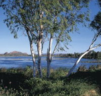 Celebrity Tree Park - Accommodation Batemans Bay