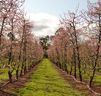 Raeburn Orchards - Accommodation Batemans Bay