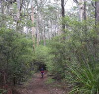 Margaret River Rails Trail - Accommodation Batemans Bay