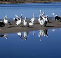 Peel Region Canoe Trails - Accommodation Batemans Bay