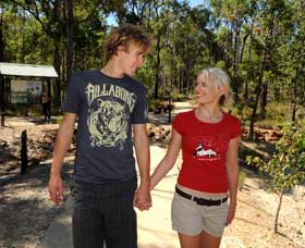 Crooked Brook Forest - Accommodation Batemans Bay 0