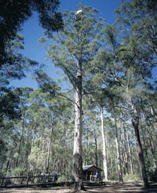 Perup WA Accommodation Batemans Bay