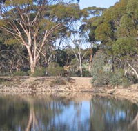 Merredin Railway Dam - Accommodation Batemans Bay