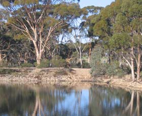 Merredin Railway Dam - Accommodation Batemans Bay 0