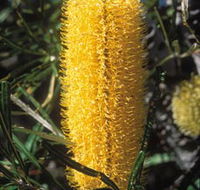 Moore River National Park - Accommodation Batemans Bay
