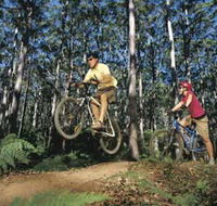 Leeuwin-Naturaliste National Park - Cowaramup - Accommodation Batemans Bay