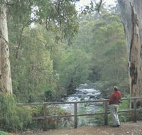 Cascades - Accommodation Batemans Bay