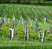 Sienna Estate Winery - Accommodation Batemans Bay