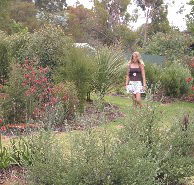 The Mythic Mazes - Accommodation Batemans Bay