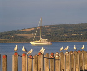 Oyster Harbour - Accommodation Batemans Bay 0