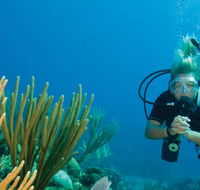 Coastal Water Dive - Accommodation Batemans Bay