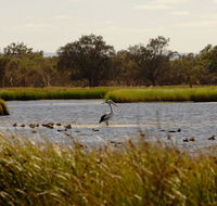 Anytime Adventures in Mandurah  the Peel Region - Accommodation Batemans Bay