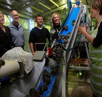 Eyre Peninsula's Seafood Trail - Accommodation Batemans Bay