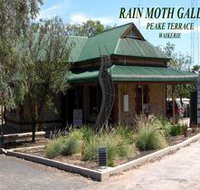 Rain Moth Gallery - Accommodation Batemans Bay