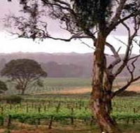 Yangarra Estate Vineyard - Accommodation Batemans Bay