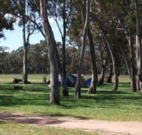 Black Cockatoo Bush Camp - Accommodation Batemans Bay