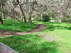 Yurrebilla Trail - Accommodation Batemans Bay 0