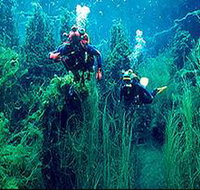 Ewens Ponds Conservation Park - Accommodation Batemans Bay