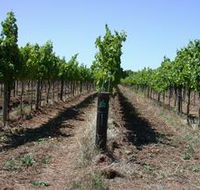 Temple Bruer Winery - Accommodation Batemans Bay