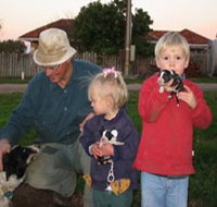 Orrie Cowie Merino and Poll Merino Stud - Accommodation Batemans Bay