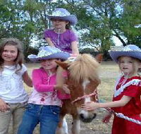 Amberainbow Pony Rides - Accommodation Batemans Bay