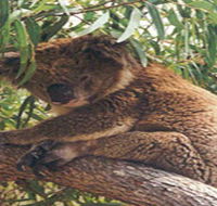 Mikkira Station - Accommodation Batemans Bay