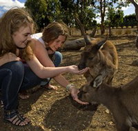Kangaroo Island Wildlife Park - Accommodation Batemans Bay