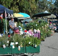 Meadows Monthly Market - Accommodation Batemans Bay