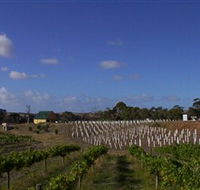 Deep Creek Wines and Alpacas - Accommodation Batemans Bay
