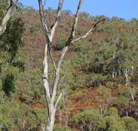 Black Hill Conservation Park - Accommodation Batemans Bay
