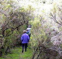 Jack And Hilda McArthur Walk - Accommodation Batemans Bay