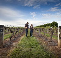 Coonawarra Wineries Walking Trail - Accommodation Batemans Bay