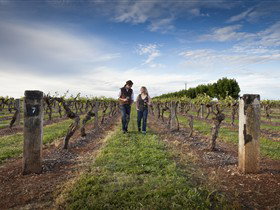 Coonawarra Wineries Walking Trail - Accommodation Batemans Bay 0