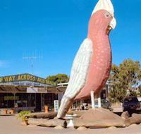 The Big Galah - Accommodation Batemans Bay