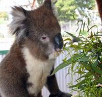 Glen-Forest Tourist Park - Accommodation Batemans Bay