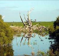 Bool Lagoon Game Reserve and Hacks Lagoon Conservation Park - Accommodation Batemans Bay
