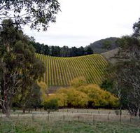 Mt Bera Vineyards - Accommodation Batemans Bay