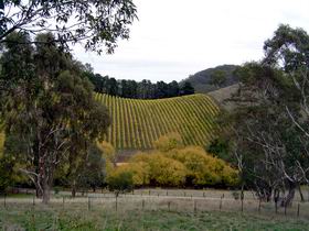 Mt Bera Vineyards - Accommodation Batemans Bay 0