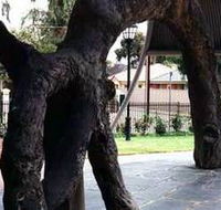 Old Gum Tree - Accommodation Batemans Bay