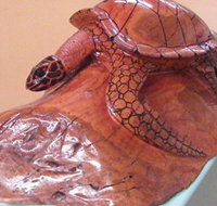 Ants Redgum Gallery - Accommodation Batemans Bay