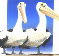 Bay of Shoals Wines - Accommodation Batemans Bay