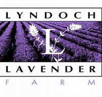 Lyndoch Lavender Farm and Cafe - Accommodation Batemans Bay