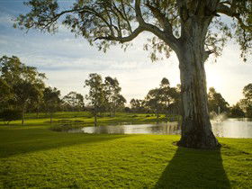 Serafino Wines - Accommodation Batemans Bay 0