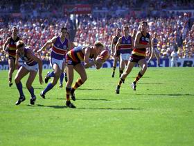 AAMI Stadium Tours - Accommodation Batemans Bay 0