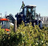 Ballast Stone Estate Wines Pty Ltd - Accommodation Batemans Bay