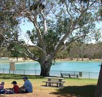 Naracoorte Nature Park and Swimming Lake - Accommodation Batemans Bay