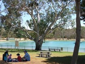 Naracoorte Nature Park And Swimming Lake - Accommodation Batemans Bay 0