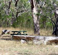 Penola Conservation Park - Accommodation Batemans Bay